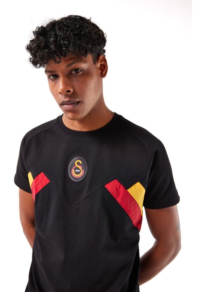 Galatasaray Erkek T-Shirt E251110 modelleri