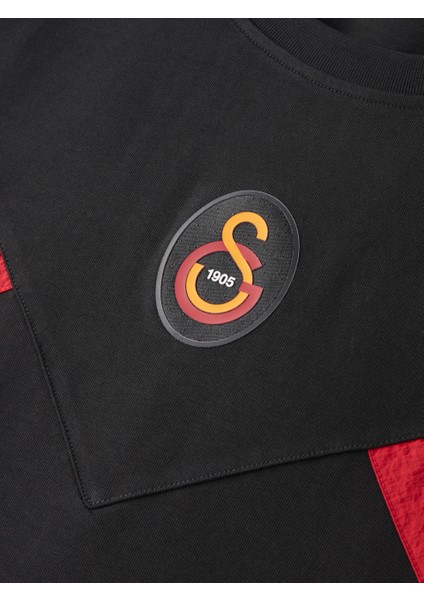 Galatasaray Erkek T-Shirt E251110