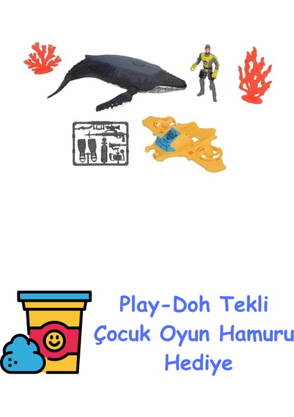 Hydro Surf Balina Arama Figürlü Oyun Seti + Play-Doh Oyun Hamuru
