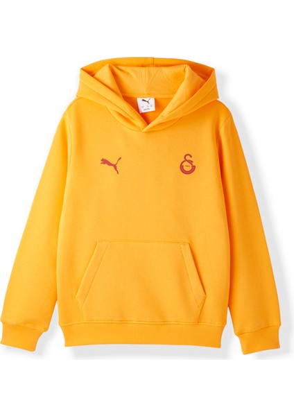 Galatasaray Puma Çocuk Kapüşonlu Sweatshirt 78291406