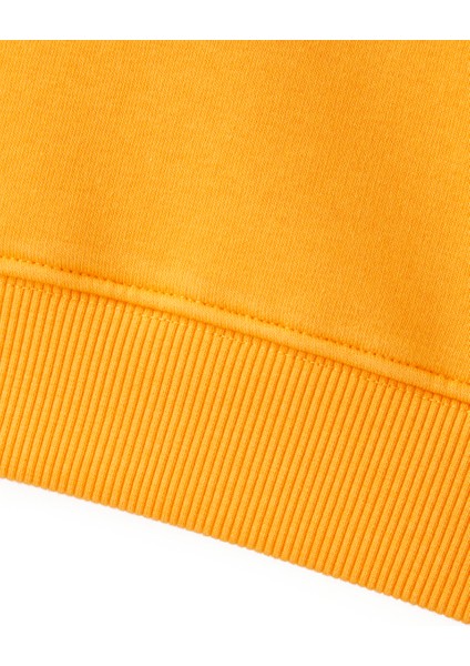 Galatasaray Puma Çocuk Kapüşonlu Sweatshirt 78291406 fırsatları