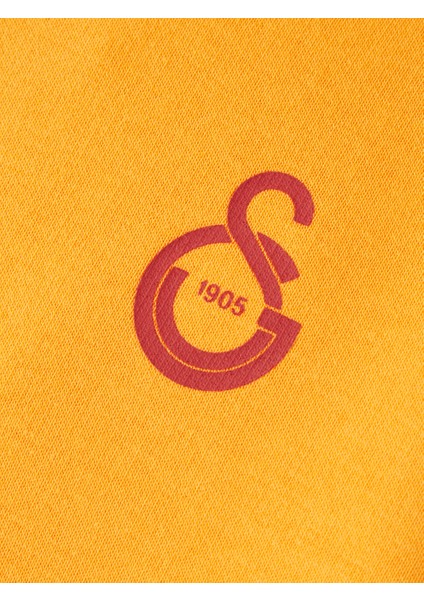 Galatasaray Puma Çocuk Kapüşonlu Sweatshirt 78291406 indirimleri