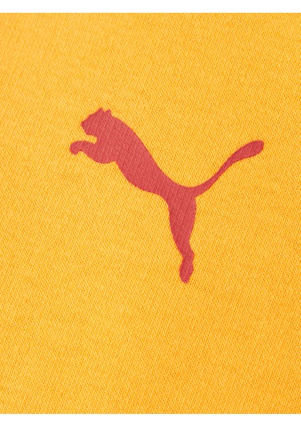 Galatasaray Puma Çocuk Kapüşonlu Sweatshirt 78291406