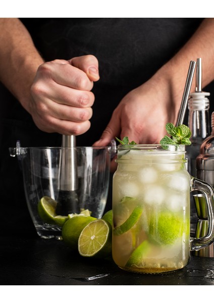 Mojito Tokmağı / Buz Ezme Tokmağı / Meyve Tokmağı fırsatları