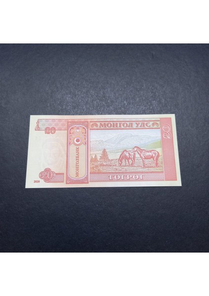 Escoines 3996368F4266F01833 2020 Moğolistan 20 Tugrik Çil fiyatları