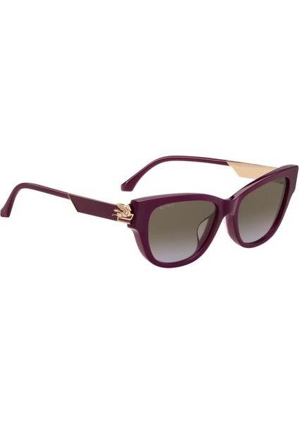 Etro 0063/F/S LHF67 .55 Güneş Gözlüğü modelleri