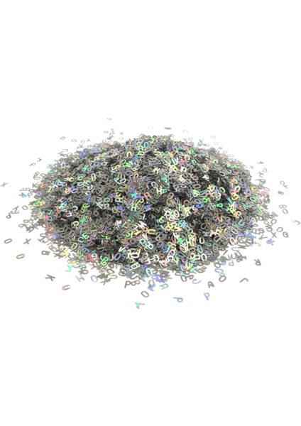 Hologram Gümüş Glitter 5 gr