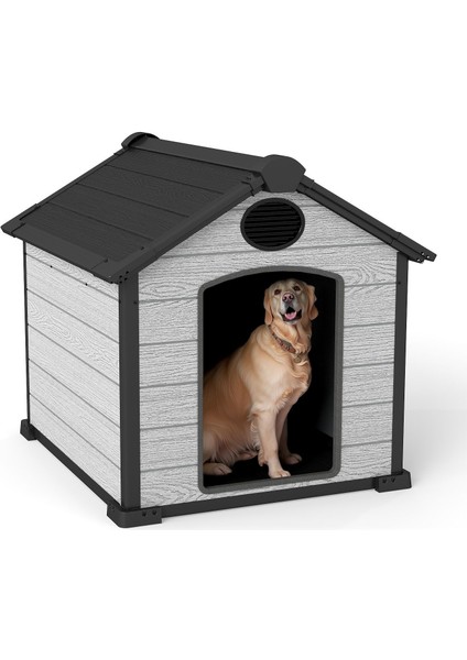 Kedi ve Köpek Kulübesi