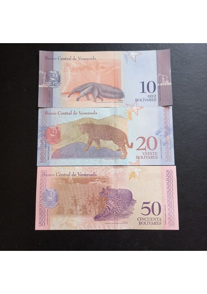 Escoines 3996368F4314EE3DE7 Venezuela 10/20/50 Bolivar Çil