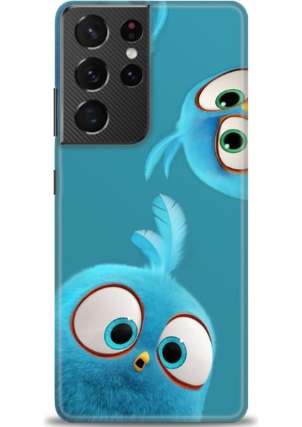 Samsung Galaxy S21 Ultra Hd Baskılı Kılıf + Seramik Tam Kaplayan Ekran Koruyucu 364