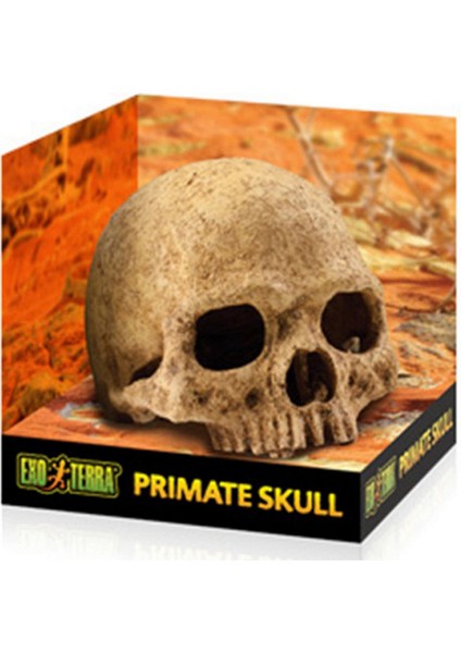 Techmrt Exo Terra Kafa Tası Şekilli Sürüngen Yuvası