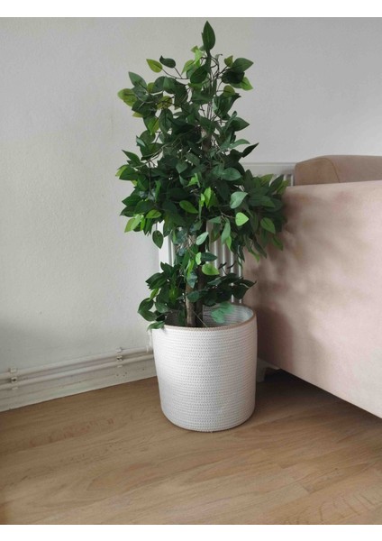 30*30 Dekoratif Düzenleyici Sepet Saksılık