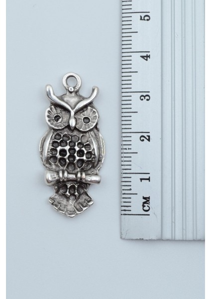 Minimal Baykuş Gümüş Kaplama Deri Ip Kolye modelleri