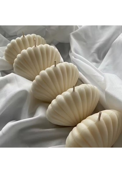 Deniz Kabuğu Silikon Mum Kalıbı