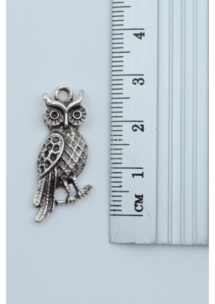 Minimal Baykuş Gümüş Kaplama Deri Ip Kolye modelleri