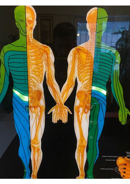 Omurga Panosu Işıklı Kumandalı fırsatları