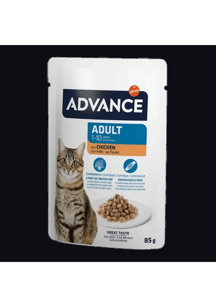 Techmrt Advance Cat Adult Chicken Wet Pouch 85 gr x 6 Adet