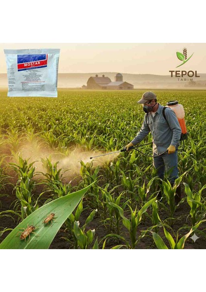 MOSTAR20 Sp 400 gr Böcek ilacı fiyatları