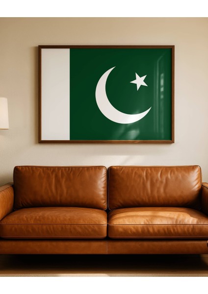 Pakistan Bayrağı Dijital Baskı Poster (Çerçevesiz) fırsatları