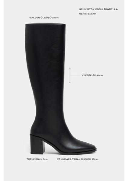 Isabella Siyah Mat Sivri Burun Topuklu Kadın Çizme fiyatları