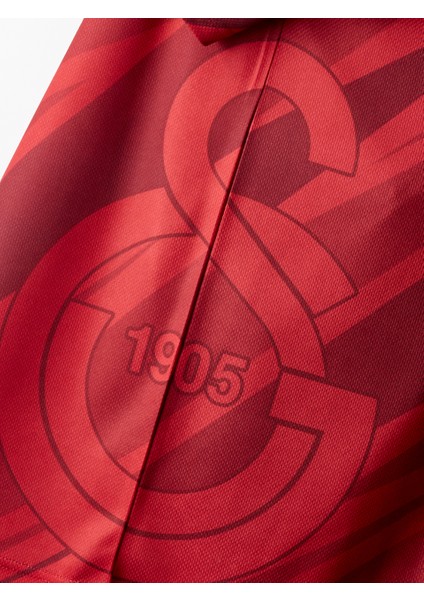 Galatasaray Erkek Ahmed Kutucu Design Fc T-Shirt E251273 indirimleri