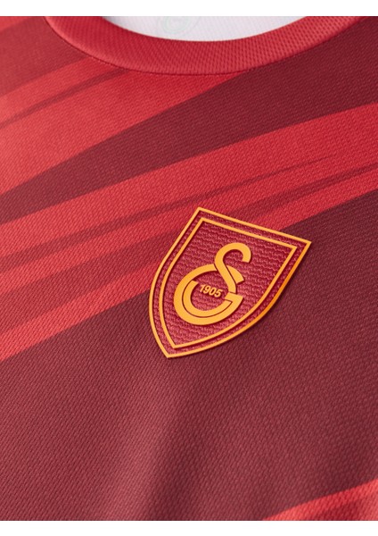 Galatasaray Erkek Ahmed Kutucu Design Fc T-Shirt E251273