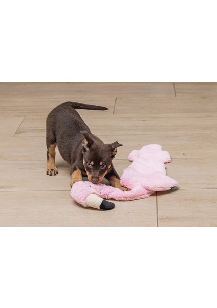 Techmrt Beeztees Yavru Köpek Oyuncağı, Flamingo, Peluş, Pembe, 72X27X5CM modelleri