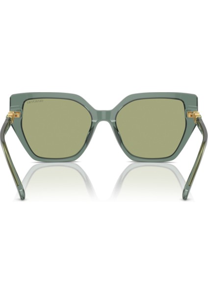 Swarovskı SK6016 104382 56-16-140 Kadın Güneş Gözlüğü modelleri