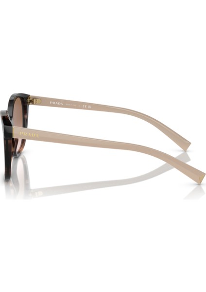 PR22ZS 07R0A6 53-17-145 Kadın Güneş Gözlüğü fiyatları