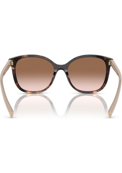 PR22ZS 07R0A6 53-17-145 Kadın Güneş Gözlüğü modelleri