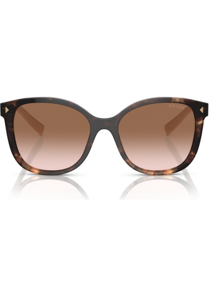 PR22ZS 07R0A6 53-17-145 Kadın Güneş Gözlüğü fırsatları