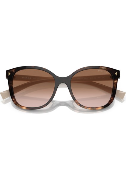 PR22ZS 07R0A6 53-17-145 Kadın Güneş Gözlüğü indirimleri