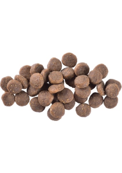 Techmrt Brit Care 3 kg x 4 Adet Deri ve Tüy Hassasiyeti Olan Yavru Köpekler Için, Tahılsız, Somonlu Kuru Mama fiyatları