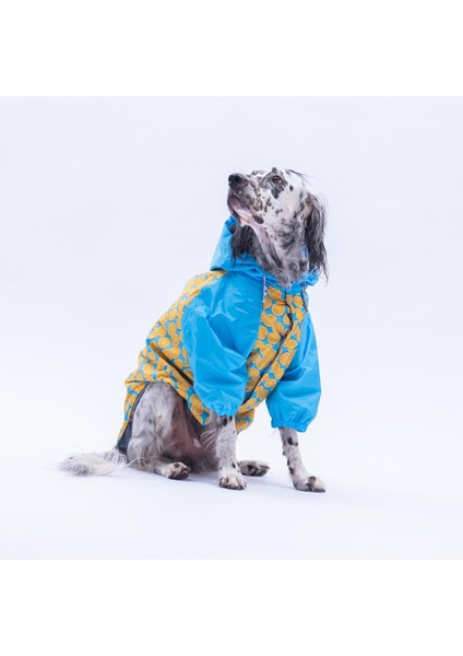 Nice Citrus Narenciye Desenli Büyük Irk Köpek Montu Köpek Yağmurluğu Köpek Kıyafeti Köpek Elbisesi