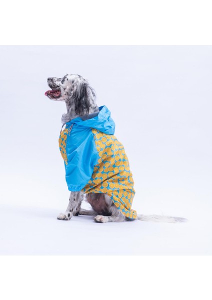 Nice Citrus Narenciye Desenli Büyük Irk Köpek Montu Köpek Yağmurluğu Köpek Kıyafeti Köpek Elbisesi fırsatları