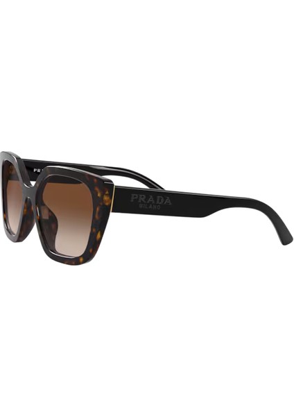 PR24XS 2AU6S1 52-18-140 Kadın Güneş Gözlüğü modelleri