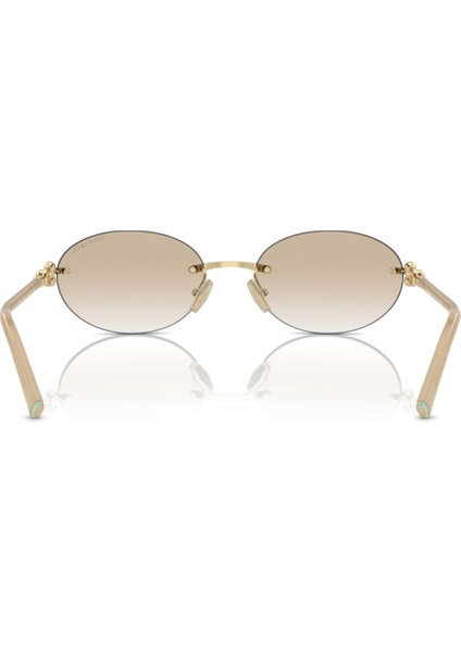 Tıffany&co. TF3104D 617811 56-18-140 Kadın Güneş Gözlüğü modelleri