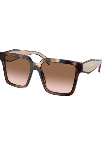 PR24ZS 07R-0A6 56-16-140 Kadın Güneş Gözlüğü