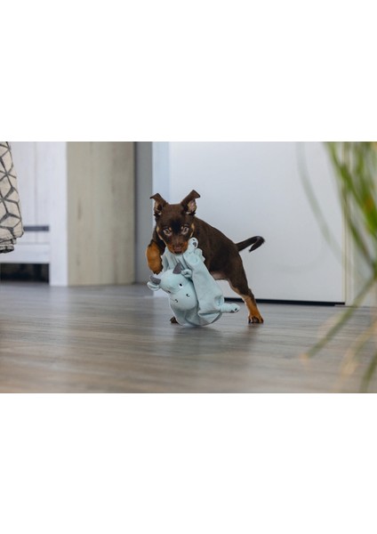 Techmrt Beeztees Yavru Köpek Oyuncağı, Dragon, Peluş, Yeşil, 31,5X25X17CM fiyatları