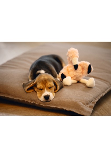 Techmrt Beeztees Yavru Köpek Oyuncağı, Flamingo, Peluş, Pembe, 27X10X18CM fiyatları