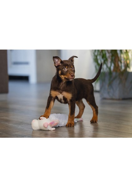 Techmrt Beeztees Yavru Köpek Oyuncağı, Unicorn, Peluş, Beyaz, 49X10X14CM fiyatları