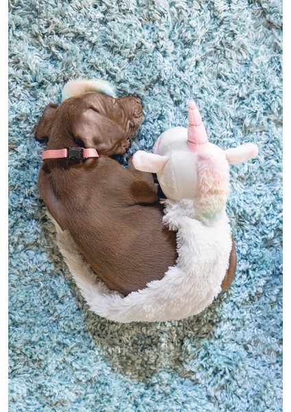 Techmrt Beeztees Yavru Köpek Oyuncağı, Unicorn, Peluş, Beyaz, 49X10X14CM fırsatları