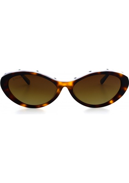 Eg 1984 C1 55-16-140 Kadın Güneş Gözlüğü