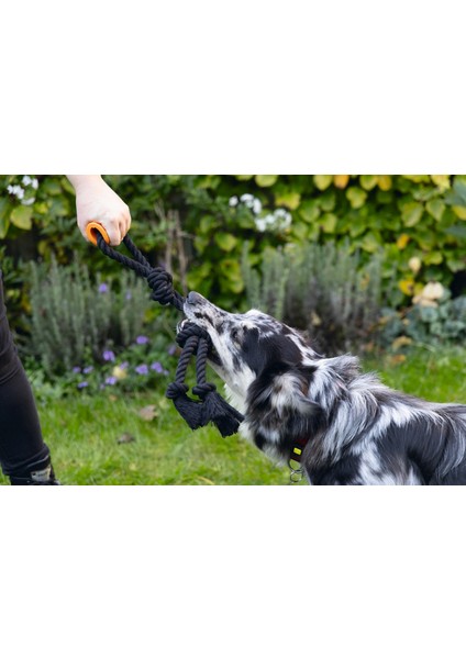 Techmrt Beeztees Köpek Oyuncağı, Diş Ipi, Tpr Tutamaçlı, Siyah, 60X13X7CM, 390GR modelleri