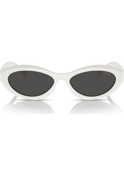 PR26ZS 17K08Z 55-16-145 Kadın Güneş Gözlüğü fırsatları