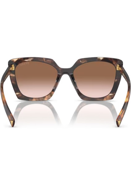 PR23ZS 07R0A6 54-18-145 Kadın Güneş Gözlüğü modelleri