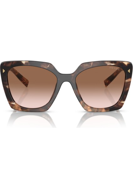 PR23ZS 07R0A6 54-18-145 Kadın Güneş Gözlüğü fırsatları