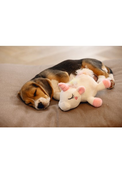 Techmrt Beeztees Yavru Köpek Oyuncağı, Unicorn, Peluş, Beyaz, 18X15X11,5CM modelleri