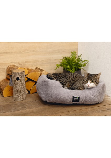 Techmrt Beeztees Kedi Oyuncağı, Karton Silindir ve Püskül, 23X10X10CM fiyatları