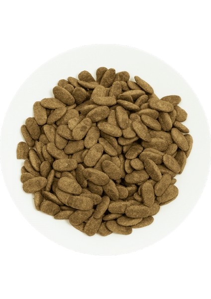 Techmrt Prochoice 18 kg Yetişkin Köpekler Için, Hipoalerjenik, Kuzu Etli ve Pirinçli Kuru Mama fiyatları